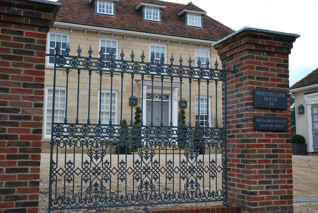 לינה וארוחת בוקר ניופורט פאגנל Montpellier House מראה חיצוני תמונה